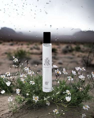 After The Rain Perfume Oil